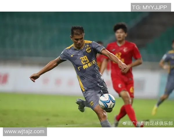 成都与广州排球队对决赛后分析速度表现与战术策略探讨